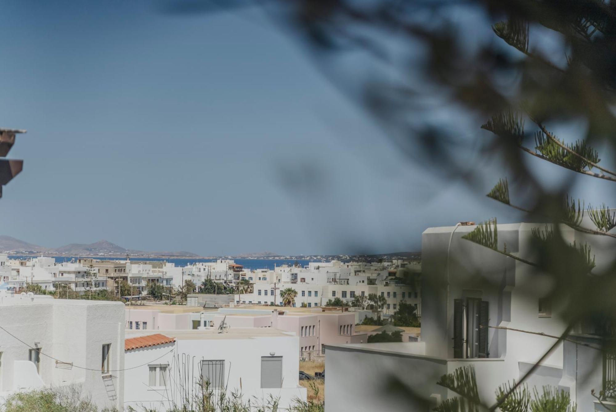 Aparthotel Golden Bird'S Naxos City Exterior foto